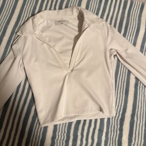 Aritzia Babaton White Collar V-Neck Blouse